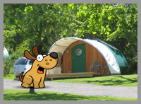 dog friendly cabin